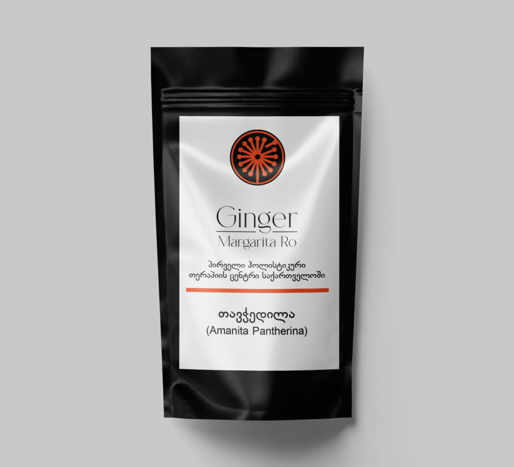 თავჭედილა (Amanita Pantherina)