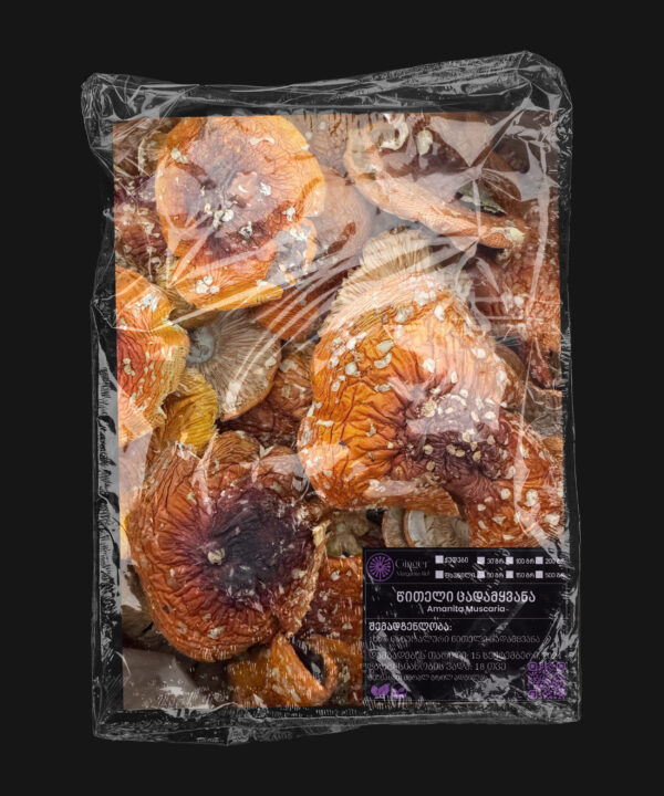 საბითუმო წითელი ცადამყვანა