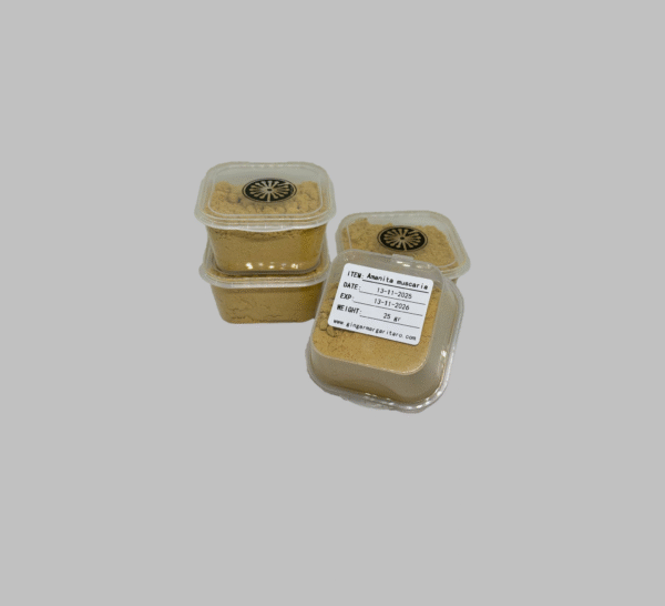 ცადამყვანა (Amanita Muscaria)